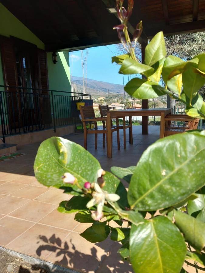 Etna Green House Villa Zafferana Etnea Ngoại thất bức ảnh