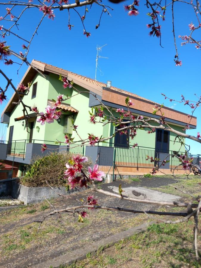 Etna Green House Villa Zafferana Etnea Ngoại thất bức ảnh