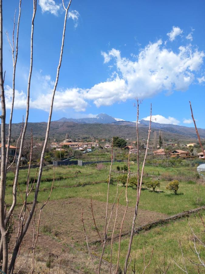 Etna Green House Villa Zafferana Etnea Ngoại thất bức ảnh