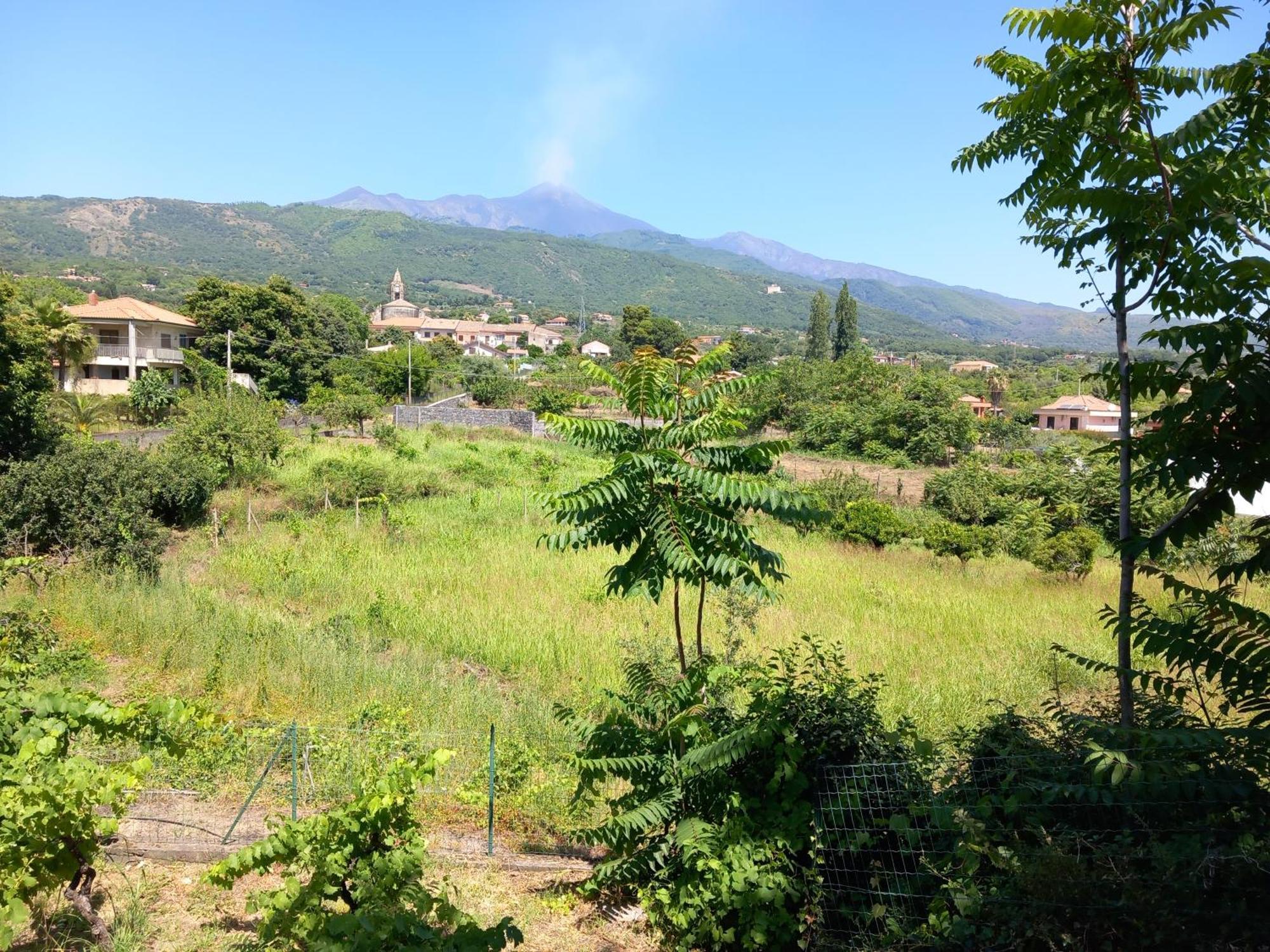 Etna Green House Villa Zafferana Etnea Ngoại thất bức ảnh