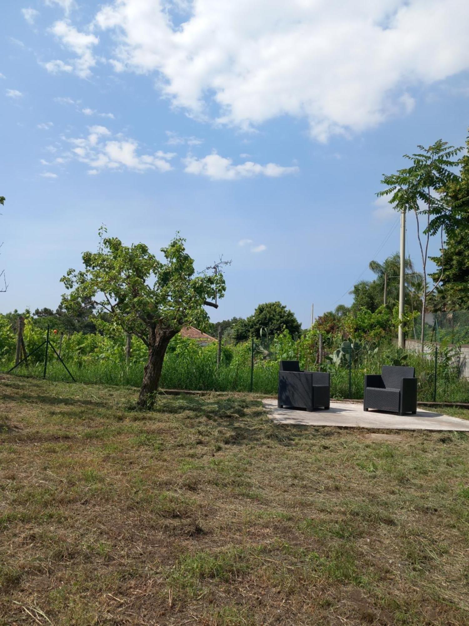 Etna Green House Villa Zafferana Etnea Ngoại thất bức ảnh